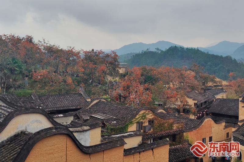 【OKX 哈希游戏】区块链加密游戏玩法教程，新手必看！红柿映山海 宁德全域旅游四季皆景